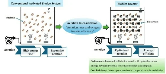 Aeration impact on biofilm stability diagram
