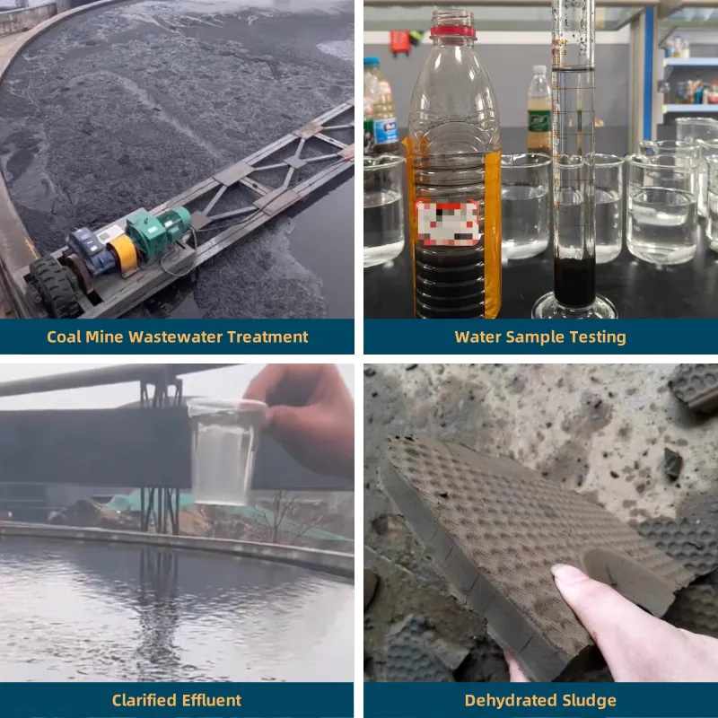 Coal Washing