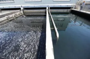 Papermaking wastewater treatment
