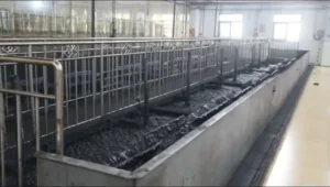 coal-washing-treatment