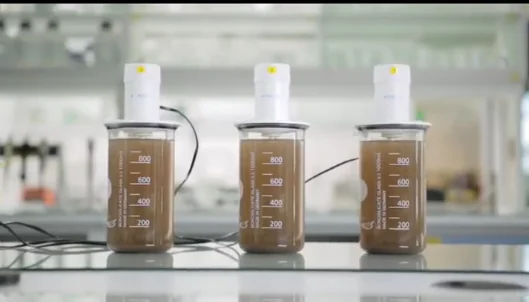 flocculation