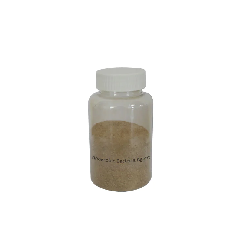 Anaerobic Bacteria Agent