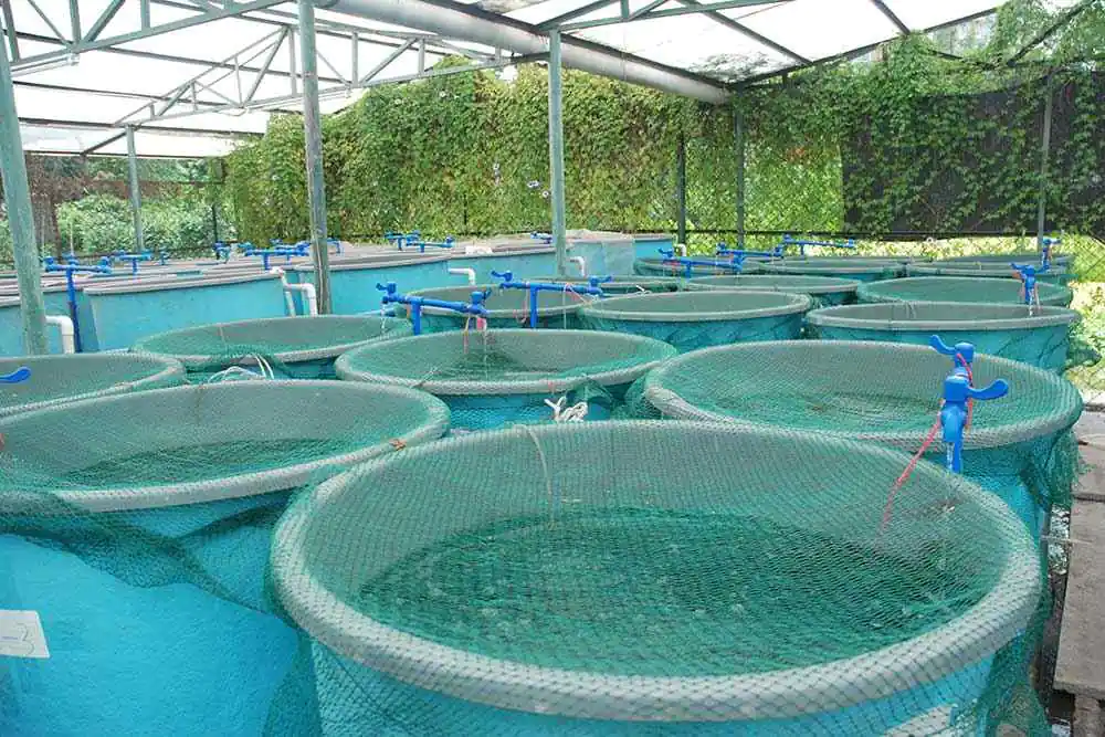 Aquaculture and Fish Farming