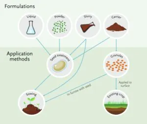 Seed treatment process
