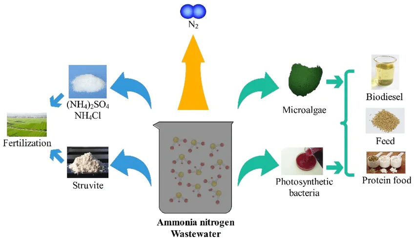 ammonia nitrogen removal process diagram