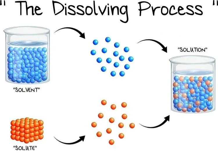 dissolution process step-by-step
