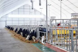 livestock and poultry wastewater treatment facility