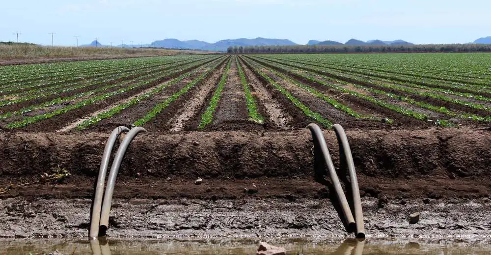 Agricultural irrigation and soil stabilization