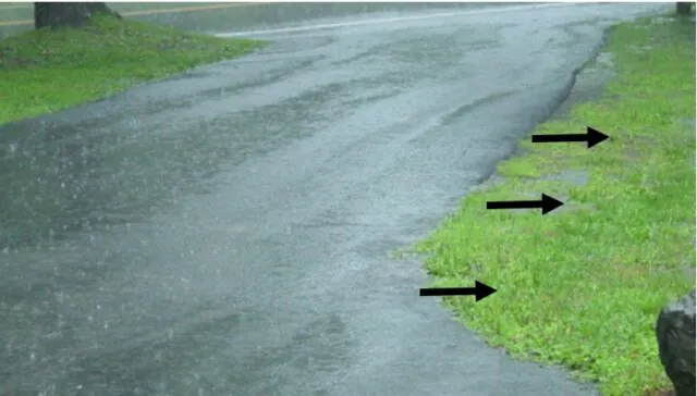 Deicing runoff affecting roadside soil