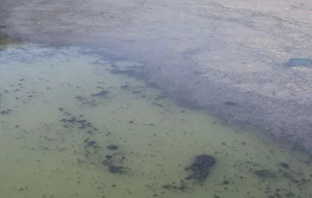 Denitrification-induced sludge flotation