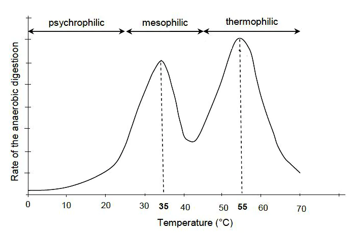 Effect of temperature on anaerobic bacteria activity