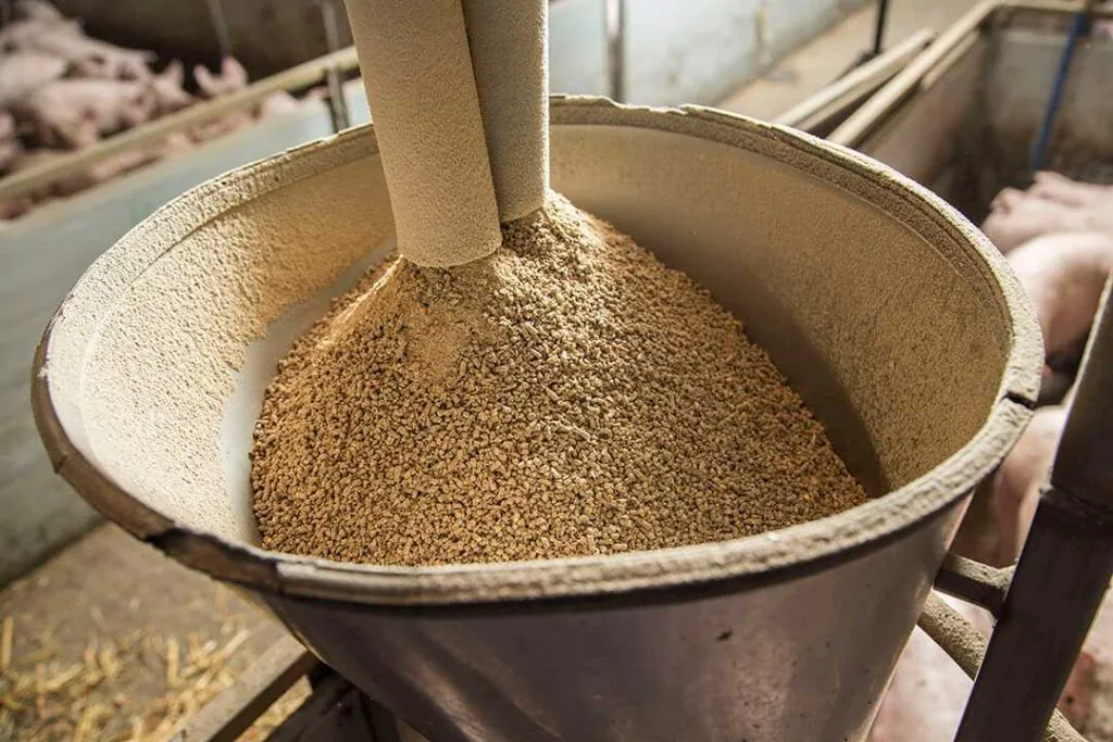 Feed mixing process with mineral supplement