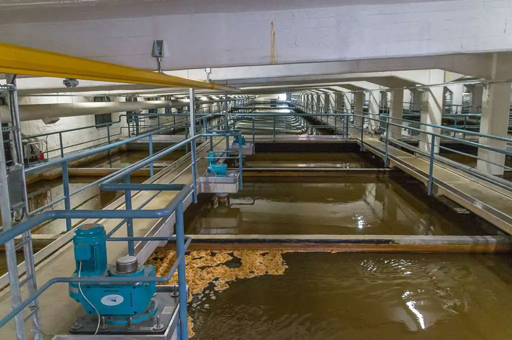 Flocculation tank with large flocs forming