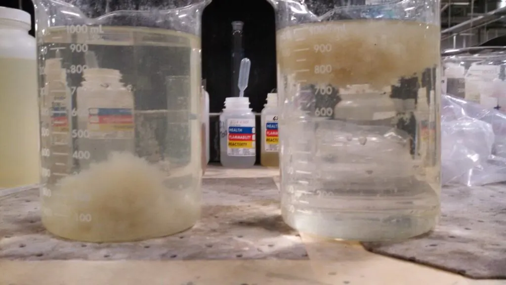 Large flocs settling in clarifier