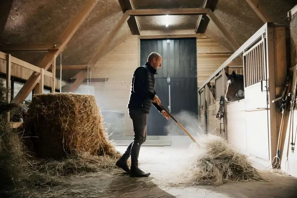 Livestock feed with reduced dust in barn environment