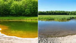 Sediment settling in treated lake water