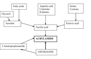 acrylamide synthesis process flow