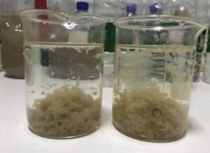 floc formation in water