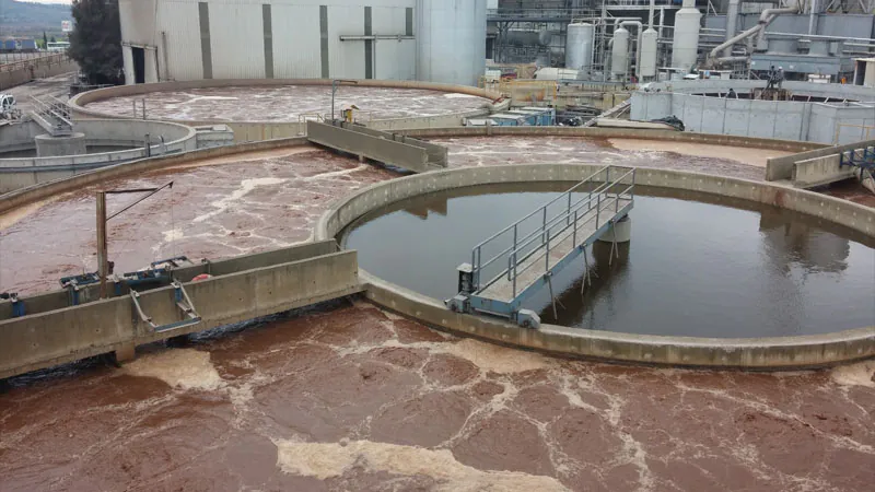 Food Processing Wastewater Treatment System