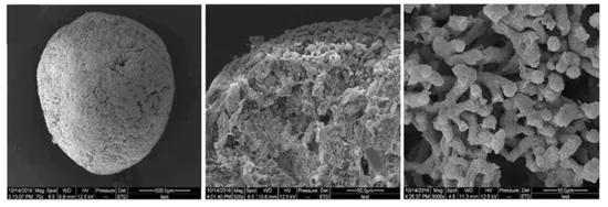 normal granular sludge