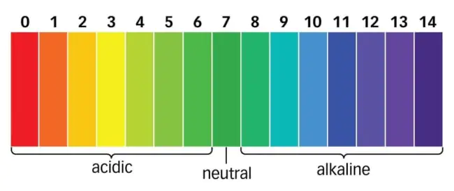 pH Scale Illustration 0–14