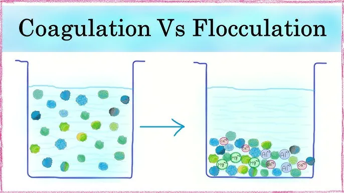 Coagulation vs Flocculation Explained