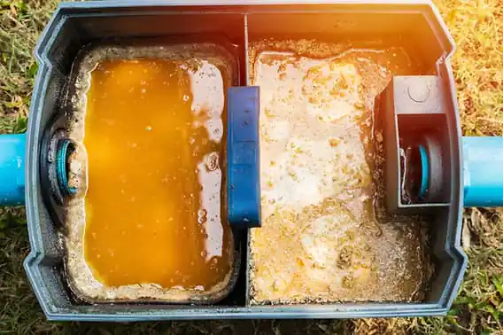 Removing Oil and Grease