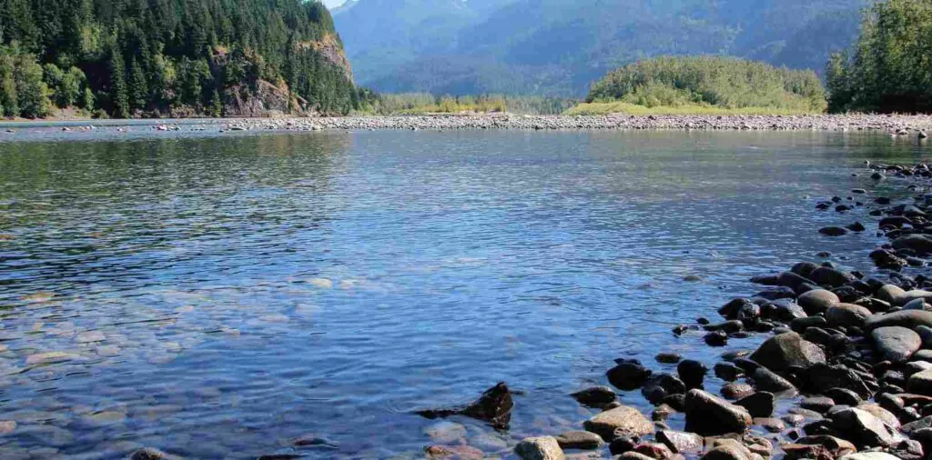 Surface Water Treatment